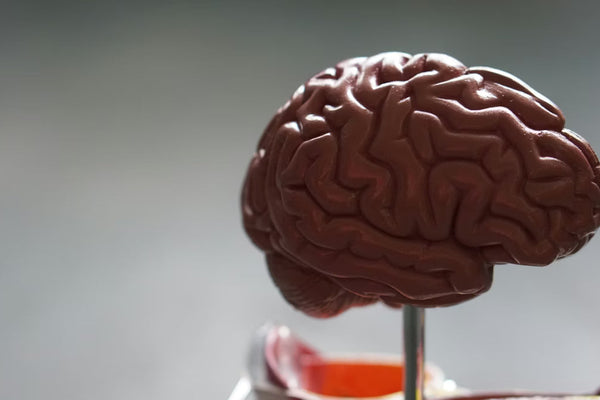 Brain health and science