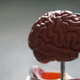 Brain health and science