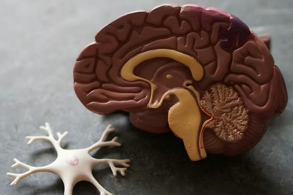 Brain mapping and psychological healing