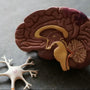 Brain mapping and psychological healing