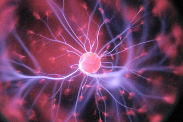 Laboratory science and the human brain - neuroscience frontiers and mental health discoveries