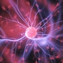 Laboratory science and the human brain - neuroscience frontiers and mental health discoveries