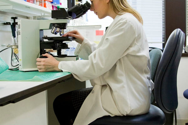 Neural connections