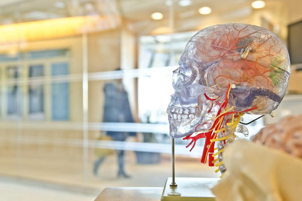 Science lab evidence and brain research - mental health findings that matter