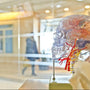 Science lab evidence and brain research - mental health findings that matter